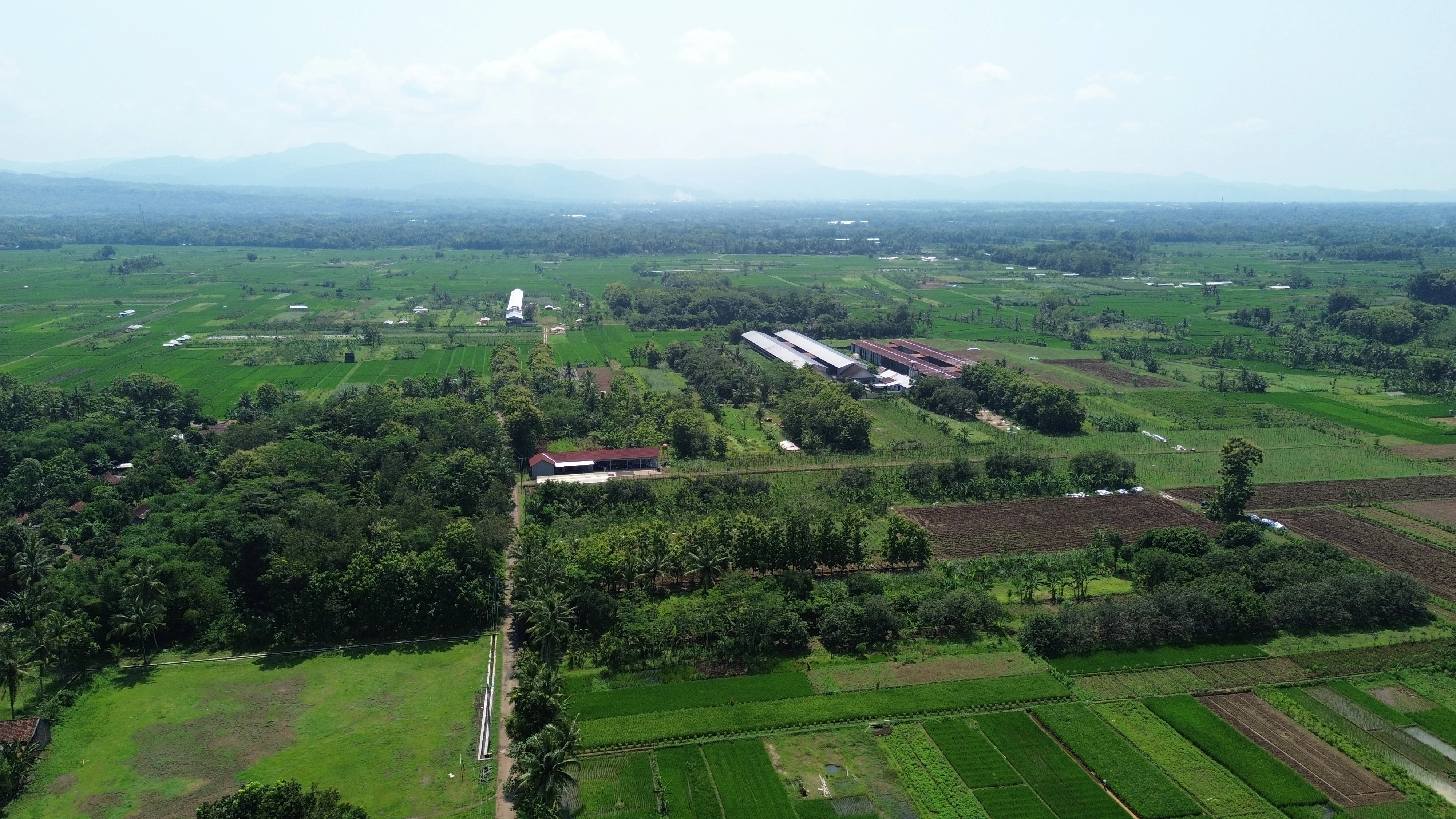 Desa Winongkidul